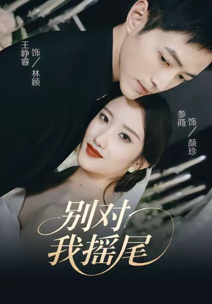 别对我摇尾（59集）短剧中追到爽