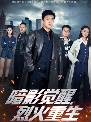 暗影觉醒，烈火重生（80集）免费观看