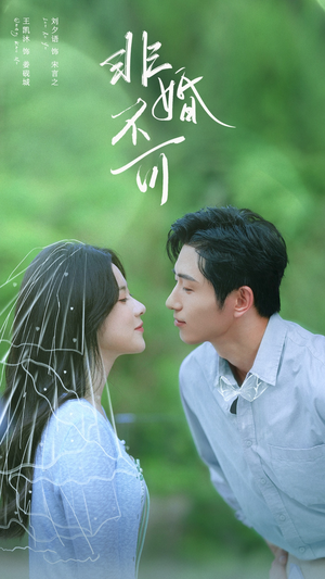 非婚不可（65集）热播短剧排行榜