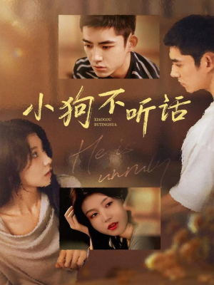 小狗不听话(70集) 小狗不听话(70集)最新上映免费看