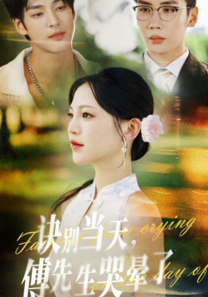 诀别当天傅先生哭晕了（62集）高分佳作免费看