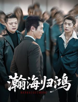 瀚海归鸿（74集）好看的短剧