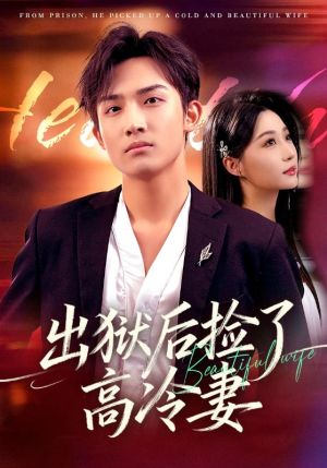 出狱后捡了高冷妻（71集）女主角是谁
