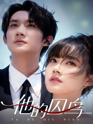 他的囚鸟（60集）热门短剧推广