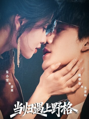 当归遇上野格(66集) 当归遇上野格(66集)新短剧推荐