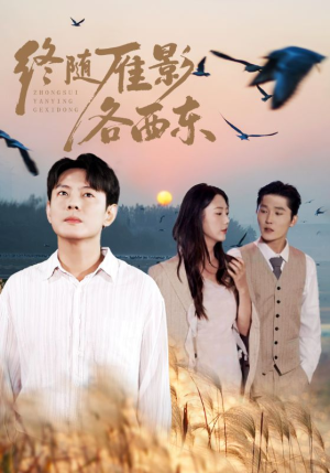 终随雁影各西东（86集）火热短剧抢先看