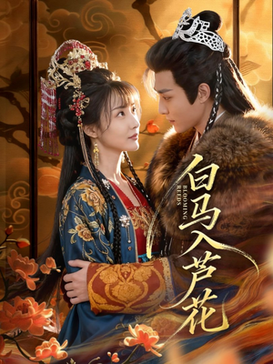 白马入芦花（59集）全集