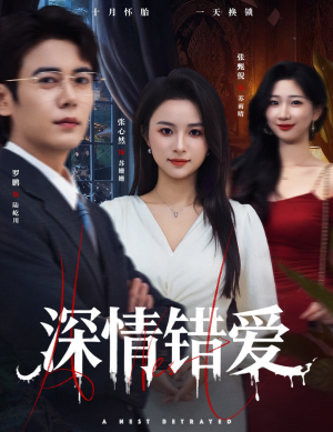 鸠占鹊巢（45集）直接追到结尾