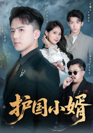 护国小婿(60集) 护国小婿(60集)最近很火的短剧