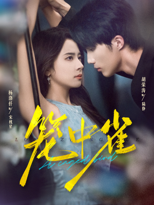 笼中雀(65集) 笼中雀(65集)追风的女孩短剧