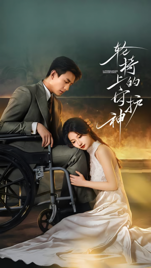 轮椅上的守护神(25集) 轮椅上的守护神(25集)全集