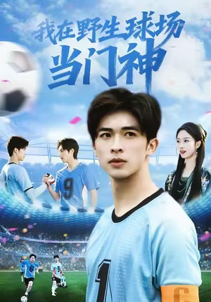 我在野生球场当门神（31集）全集都在这里了