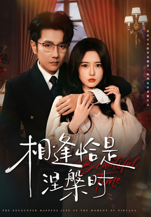 相逢恰是涅槃时(63集) 相逢恰是涅槃时(63集)精彩的短剧