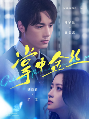 掌中金丝（60集）短剧免费观看