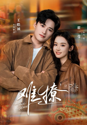 难撩（100集）热门短剧推荐