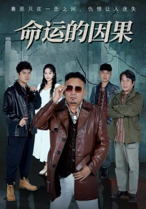 命运的因果（60集）免费观看就是爽