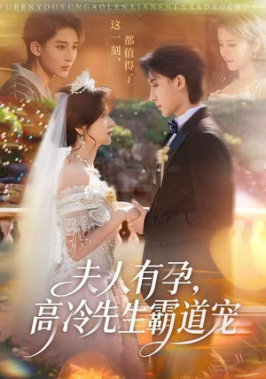 夫人有孕,高冷先生霸道宠(60集) 夫人有孕,高冷先生霸道宠(60集)直接追到结尾