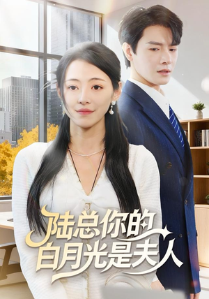 陆总你的白月光是夫人（51集）一口气追完短剧