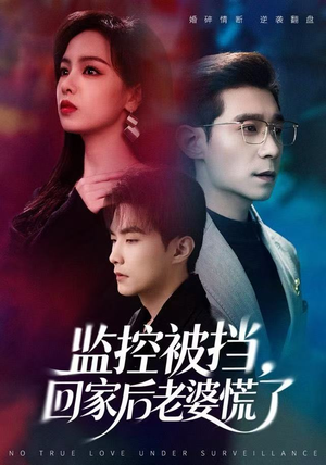 监控被挡，回家后老婆慌了（60集）热播古装短剧