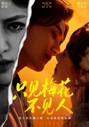 只见梅花不见人（63集）不用花钱看全剧