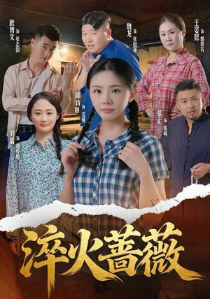 淬火蔷薇（50集）大结局