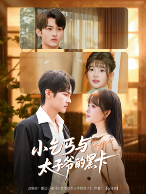 小乞丐与太子爷的黑卡（60集）短剧有好货推荐