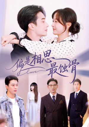 烬爱无归处（70集）热门短剧看不停