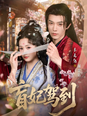 盲妃驾到（65集）好看吗