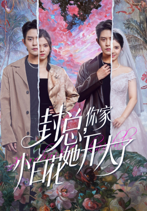 大佬你的牙粘口红了(60集) 大佬你的牙粘口红了(60集)古代短剧推荐