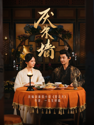 厌朱墙（80集）好看吗