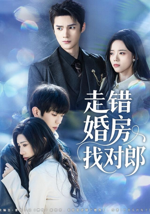 走错婚房找对郎（50集）不用花钱看全剧