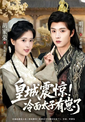 皇城震惊冷面太子有崽了（105集）短剧免费观看