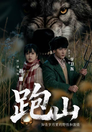 跑山：知青岁月里的野性和激情（83集）精彩短剧热播