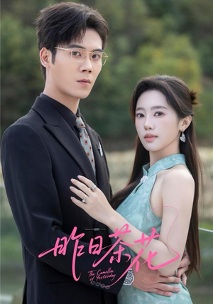 昨日茶花（56集）短剧中追到爽