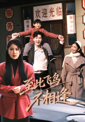 至此飞鸟不相逢（70集）全剧看到大结局