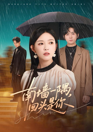 南墙一隅，回头是你（61集）热门火爆短剧