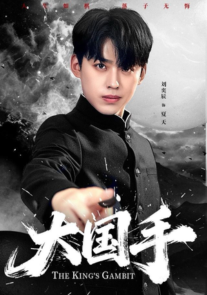 大国手（76集）全集都在这里了
