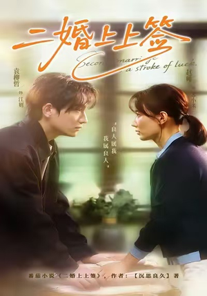 二婚上上签（71集）热门短剧在线看