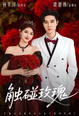 触碰玫瑰（80集）最火爆的短剧