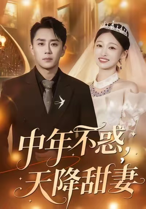 中年不惑,天降甜妻(60集) 中年不惑,天降甜妻(60集)河马免费短剧
