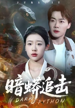 暗蟒追击（35集）火爆短剧热播中