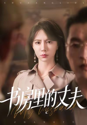 书房里的丈夫（100集）在线播放