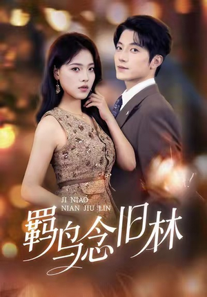 羁鸟念旧林(60集) 羁鸟念旧林(60集)超火热门短剧