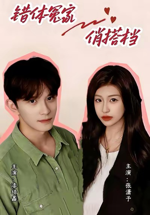 错体冤家俏搭档（60集）360网盘观看