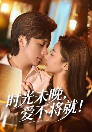 时光未晚爱不将就（55集）网上可以看吗
