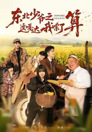 东北少爷之这嘎达我嗦了算（46集）超火热门短剧