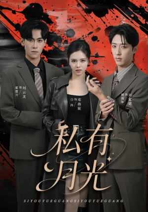 私有月光（78集）第一季