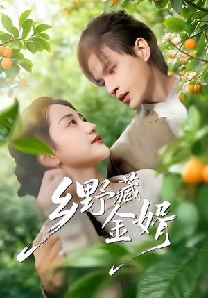 乡野藏金婿（50集）解说文案