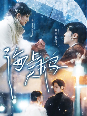 海上天鹅（70集）恋爱短剧分享