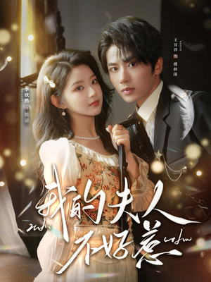 我的夫人不好惹(60集) 我的夫人不好惹(60集)剧情简介